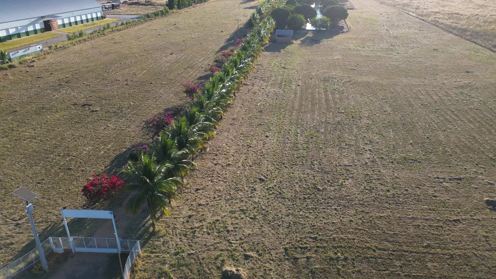 Sítio, 5 quartos, 95 hectares - Foto 14