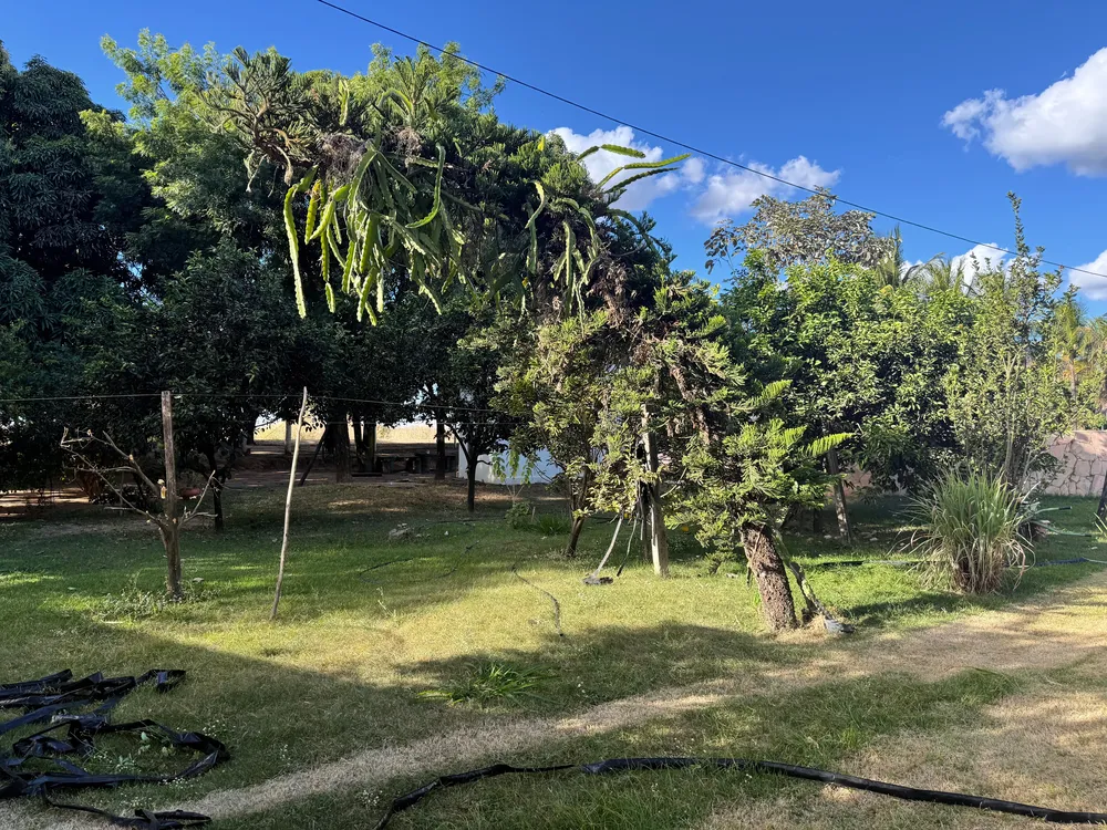 Sítio, 5 quartos, 95 hectares - Foto 6