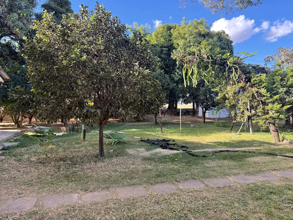 Sítio, 5 quartos, 95 hectares - Foto 8