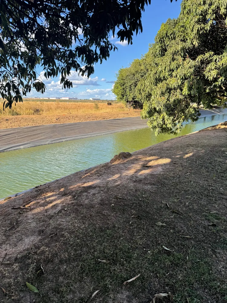 Sítio, 5 quartos, 95 hectares - Foto 13