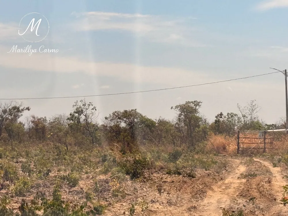 Fazenda - Foto 9