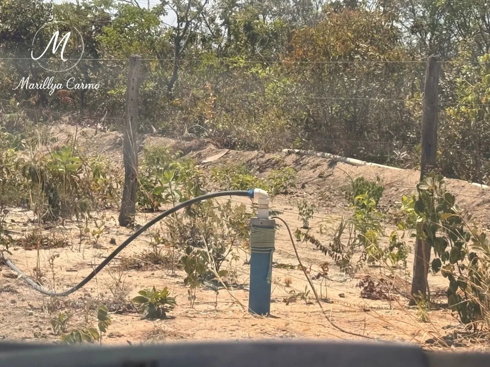 Fazenda - Foto 6