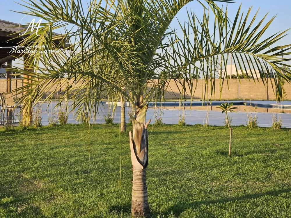 Terreno, 250 m² - Foto 3