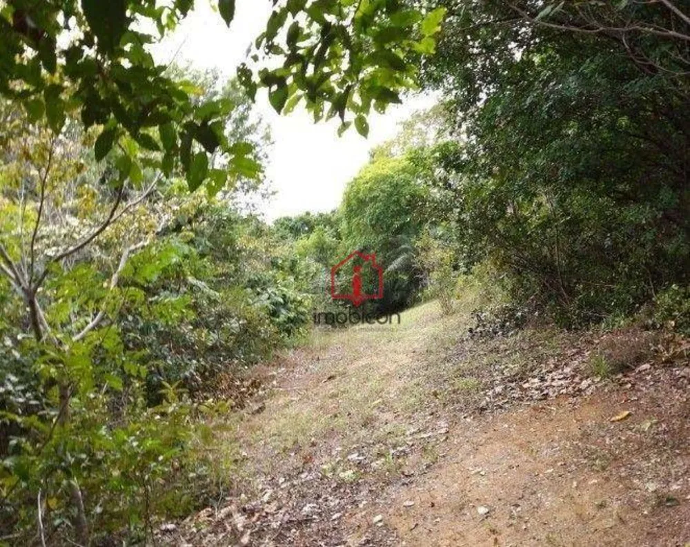 Terreno, 7 hectares - Foto 3