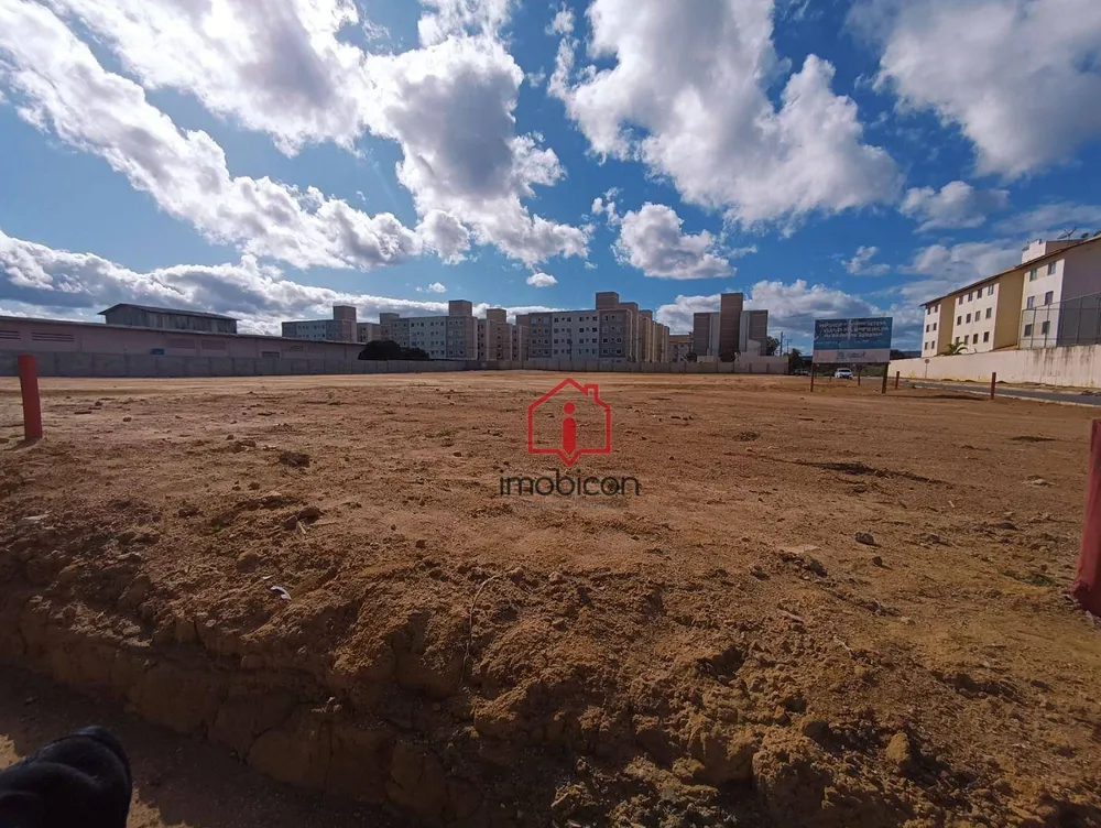 Terreno, 5319 m² - Foto 2