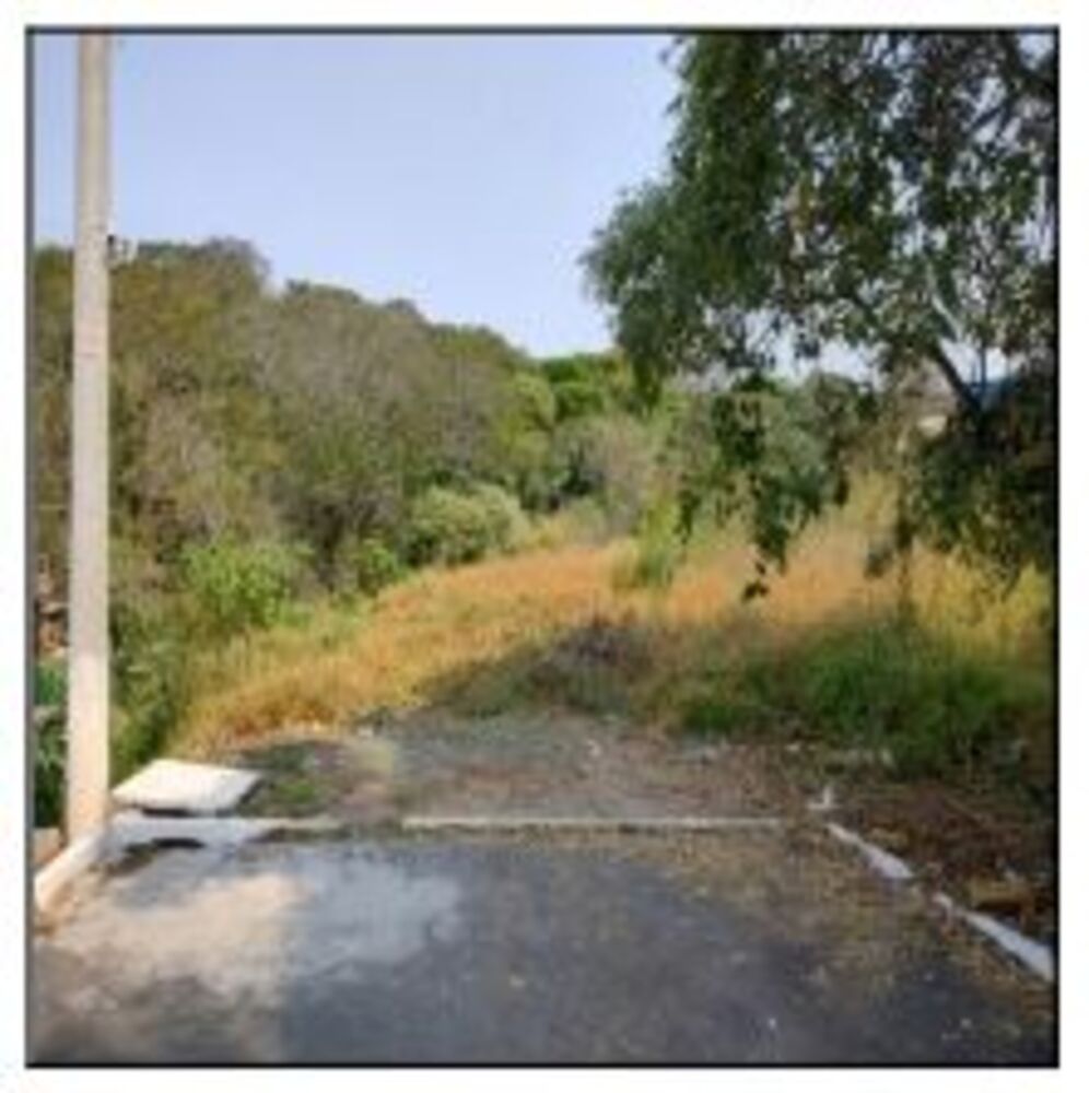 Terreno à venda, 6200m² - Foto 1
