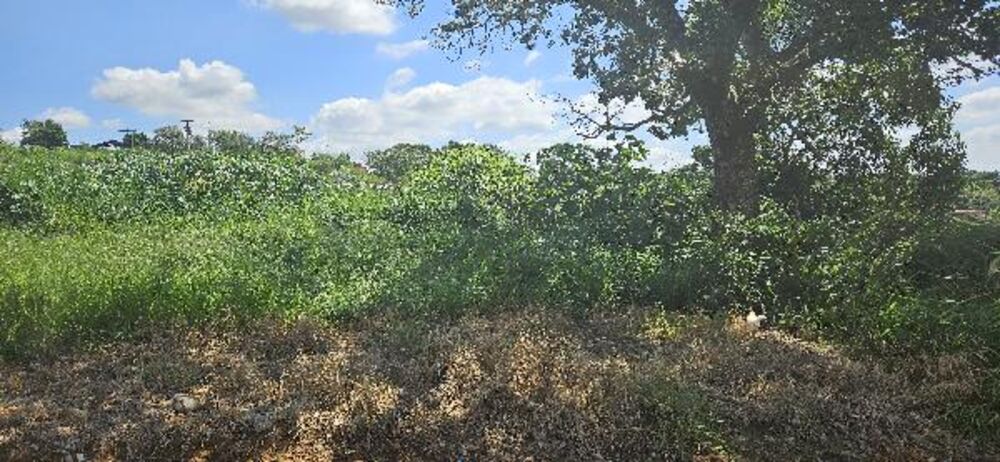 Terreno à venda, 250m² - Foto 1