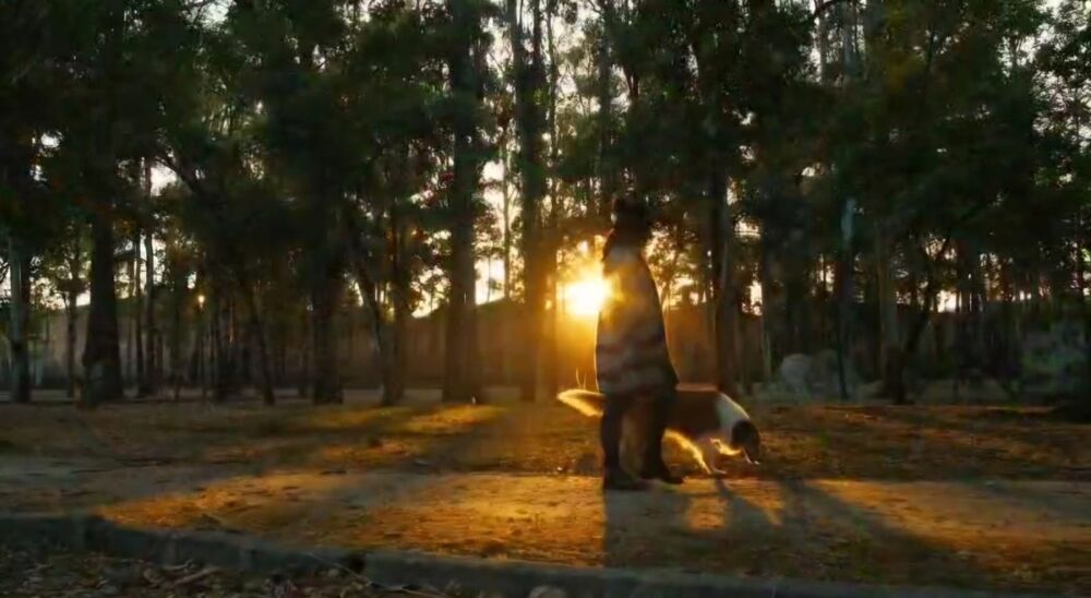 Terreno, 180 m² - Foto 24