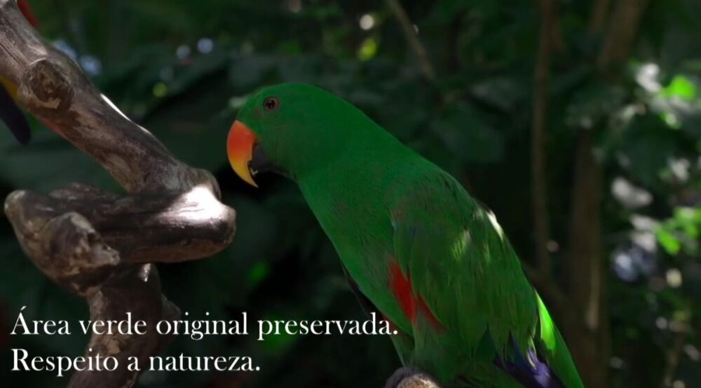 Terreno, 180 m² - Foto 27