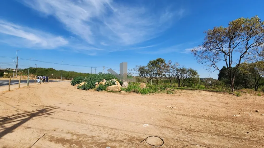 Terreno, 7 hectares - Foto 4