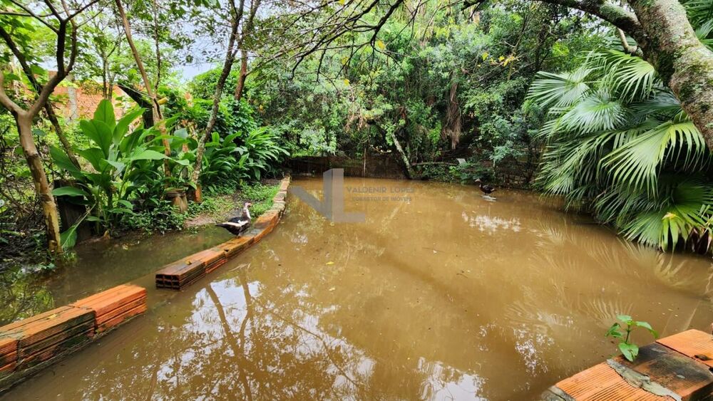 Chácara, 3 quartos, 1000 m² - Foto 43