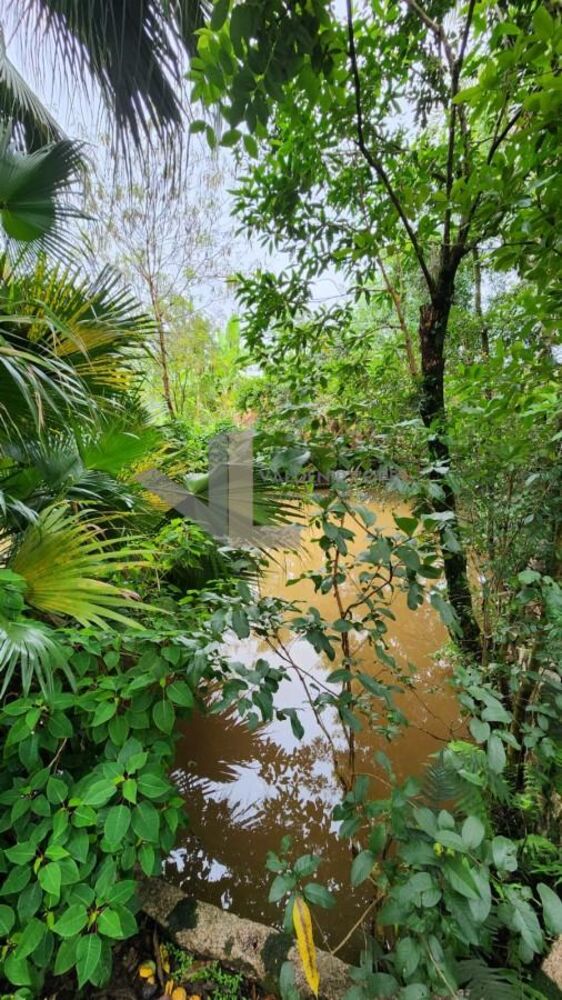 Chácara, 3 quartos, 1000 m² - Foto 42