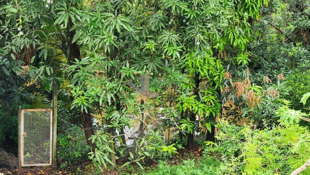 Chácara, 3 quartos, 1000 m² - Foto 40