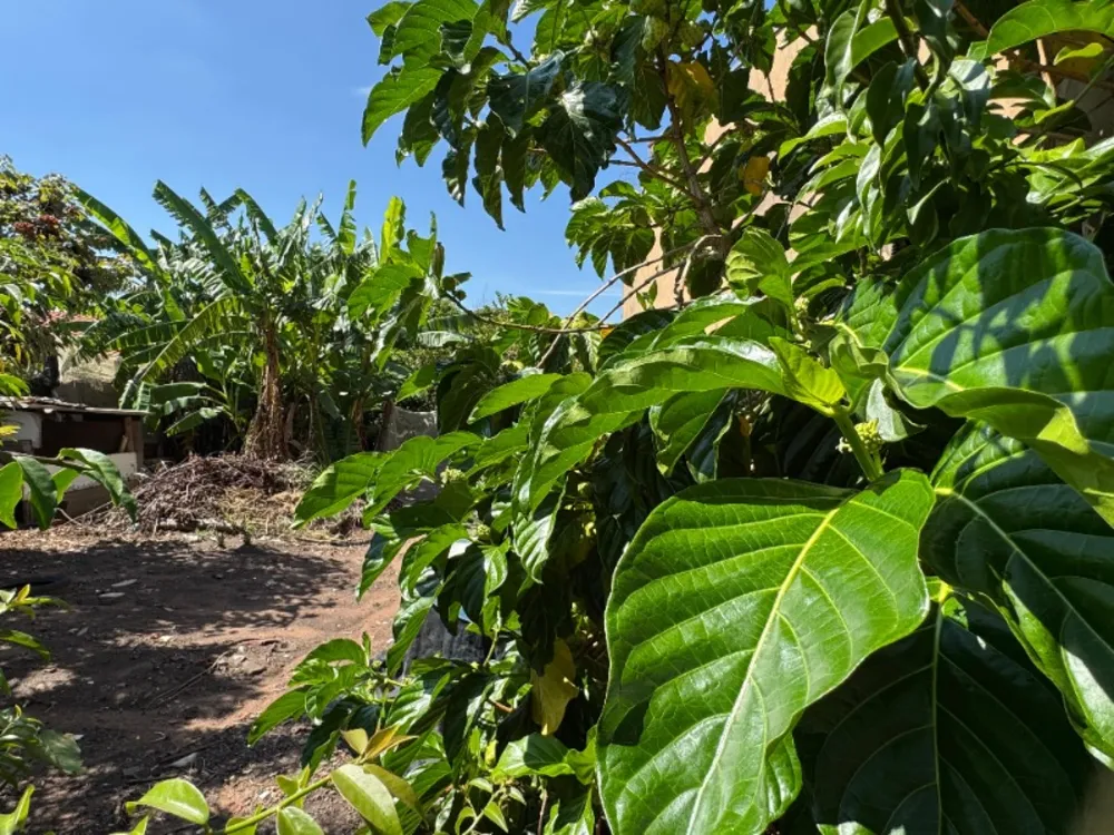 Terreno, 250 m² - Foto 1