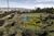 Terreno, 1000 m² - Foto 2