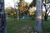 Terreno, 3010 m² - Foto 3