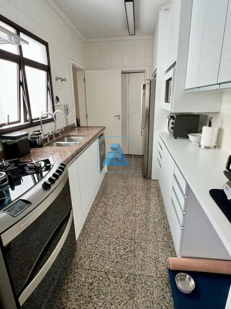 Apartamento, 3 quartos, 176 m² - Foto 7
