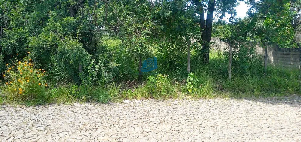 Terreno, 1000 m² - Foto 2