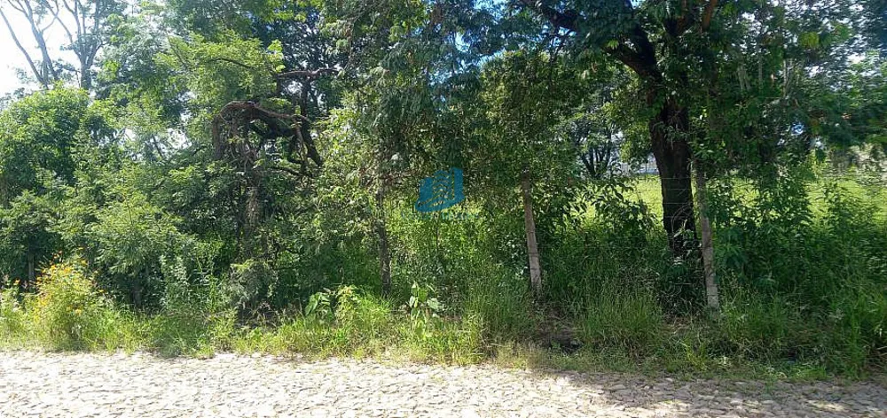 Terreno, 1000 m² - Foto 3
