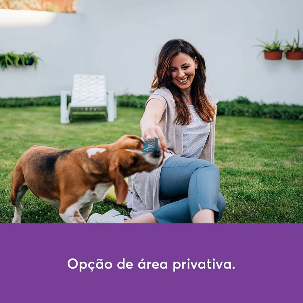 Apartamento, 2 quartos, 35 m² - Foto 2