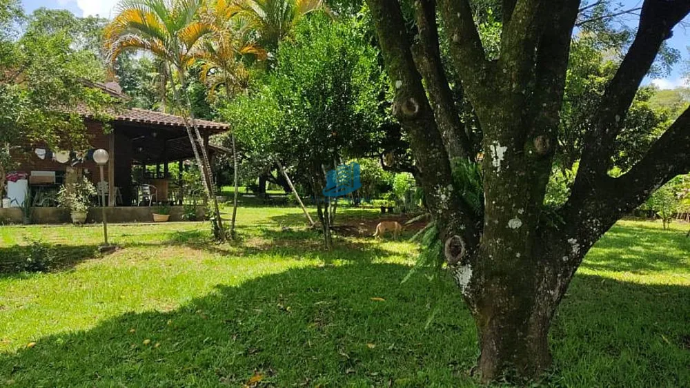 Chácara, 3 quartos, 5649 m² - Foto 7