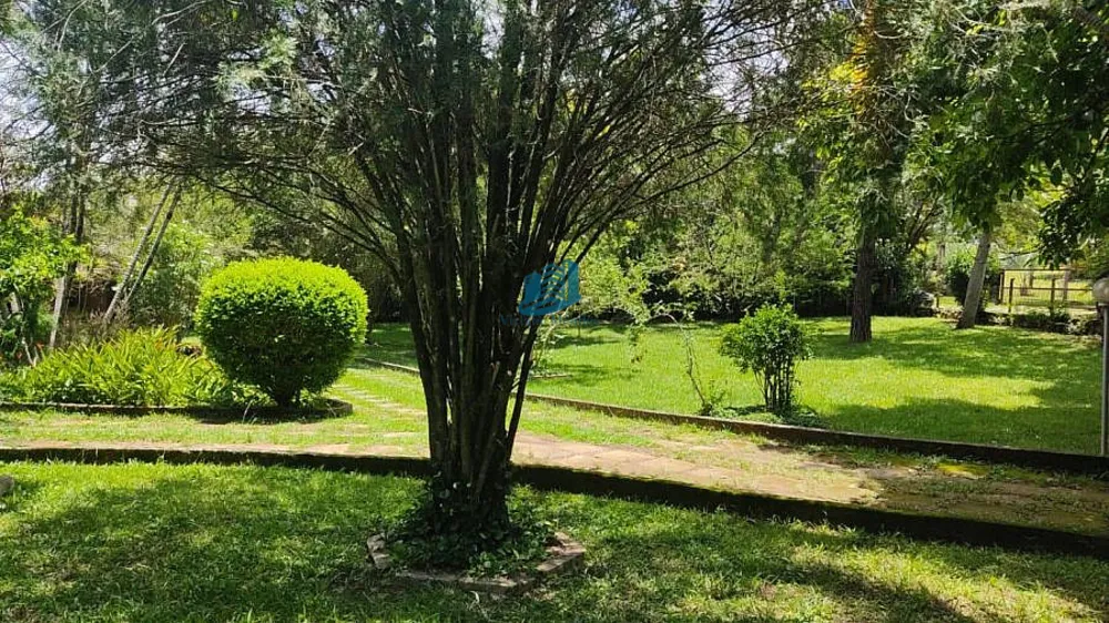 Chácara, 3 quartos, 5649 m² - Foto 8