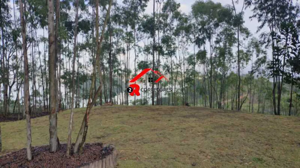 Sítio, 4 quartos, 39 hectares - Foto 6