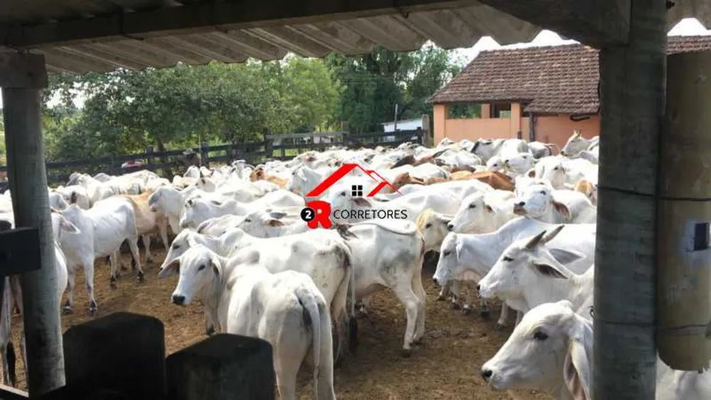 Fazenda, 249 hectares - Foto 19