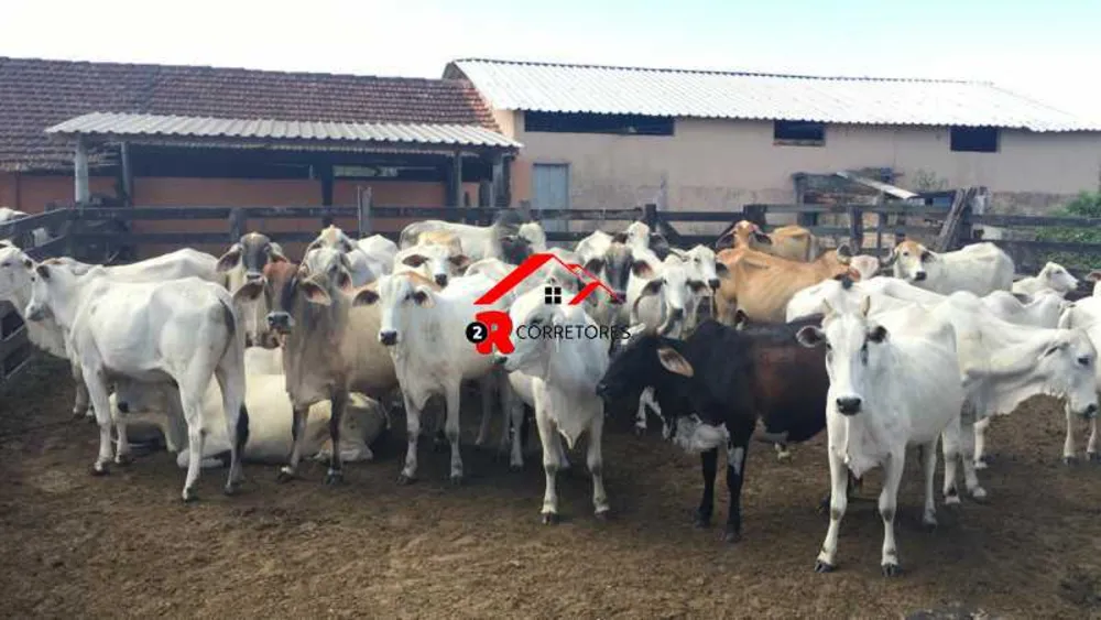 Fazenda, 249 hectares - Foto 21
