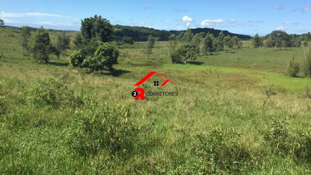 Fazenda, 249 hectares - Foto 16