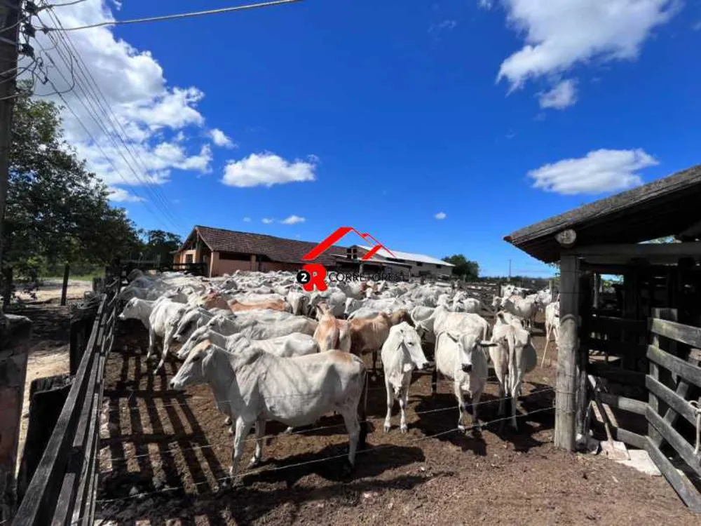 Fazenda, 249 hectares - Foto 1