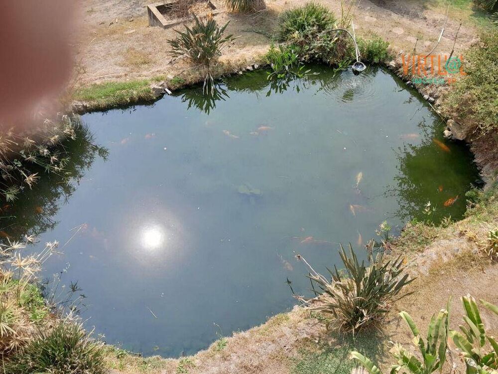 Sítio à venda com 6 quartos, 25800M2 - Foto 4