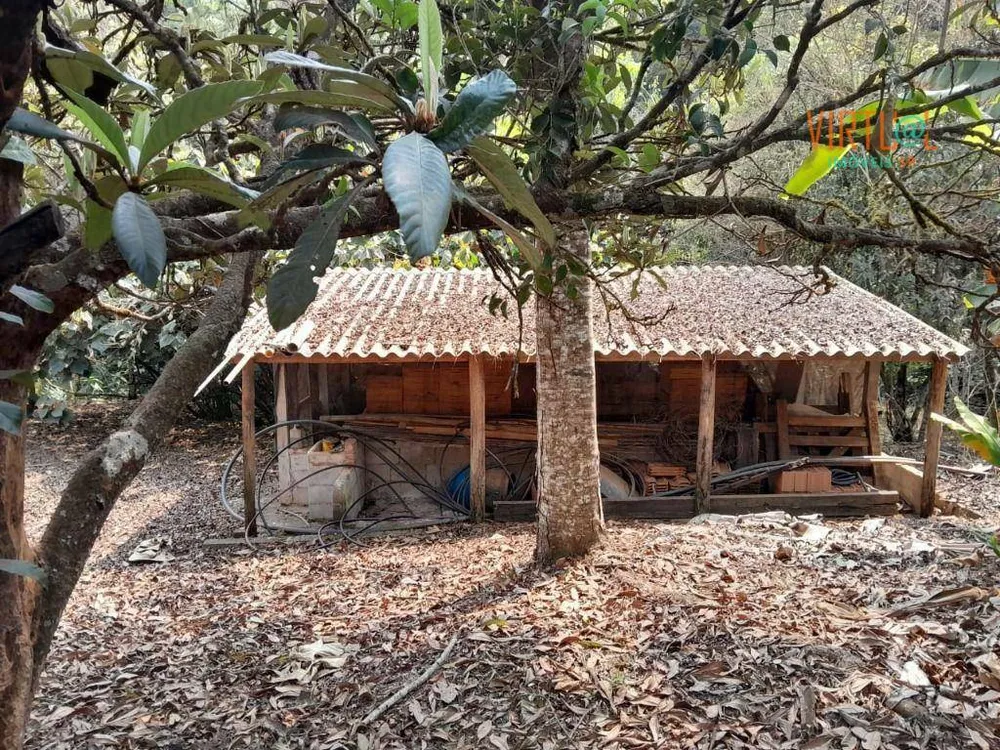 Sítio, 6 quartos, 3 hectares - Foto 4