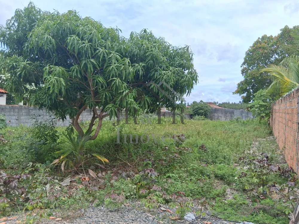 Terreno, 700 m² - Foto 3