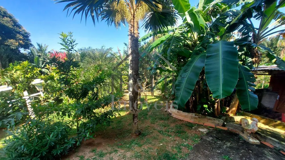 Casa, 5 quartos, 600 m² - Foto 14