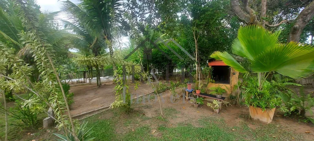 Sítio, 4 quartos, 5700 m² - Foto 12