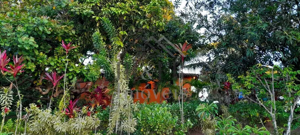Sítio, 4 quartos, 5700 m² - Foto 14