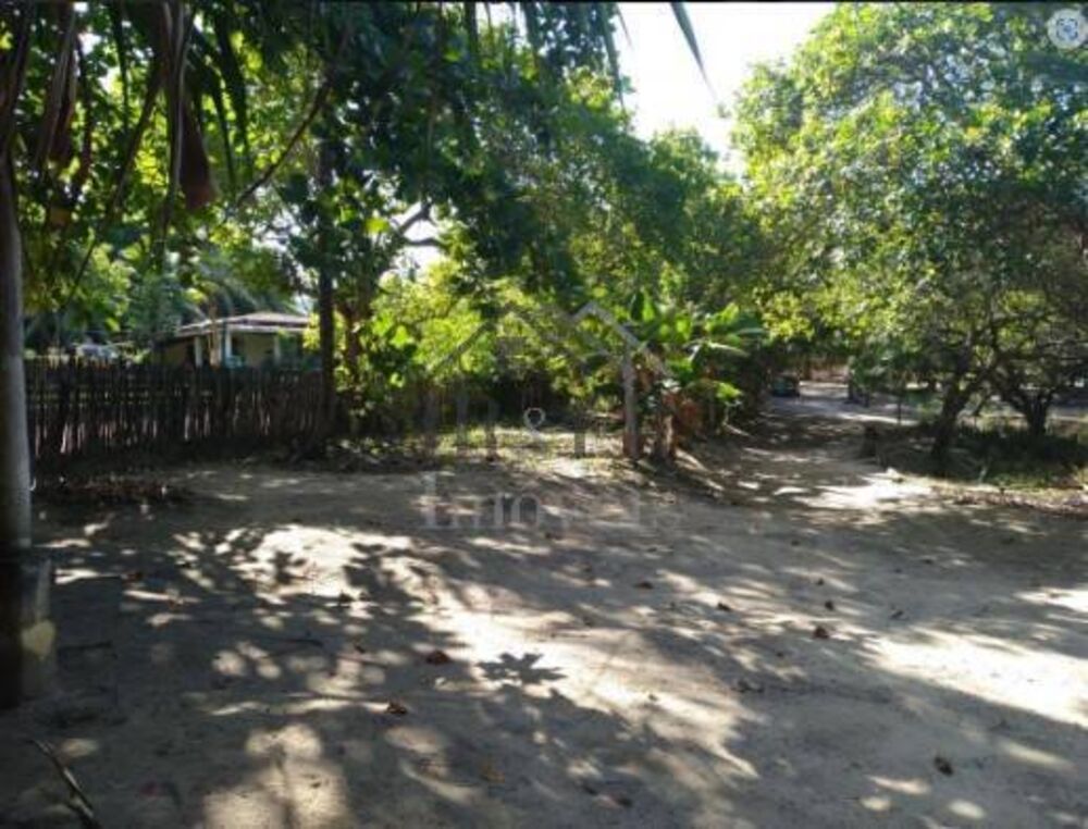 Sítio, 3 quartos, 2 hectares - Foto 7