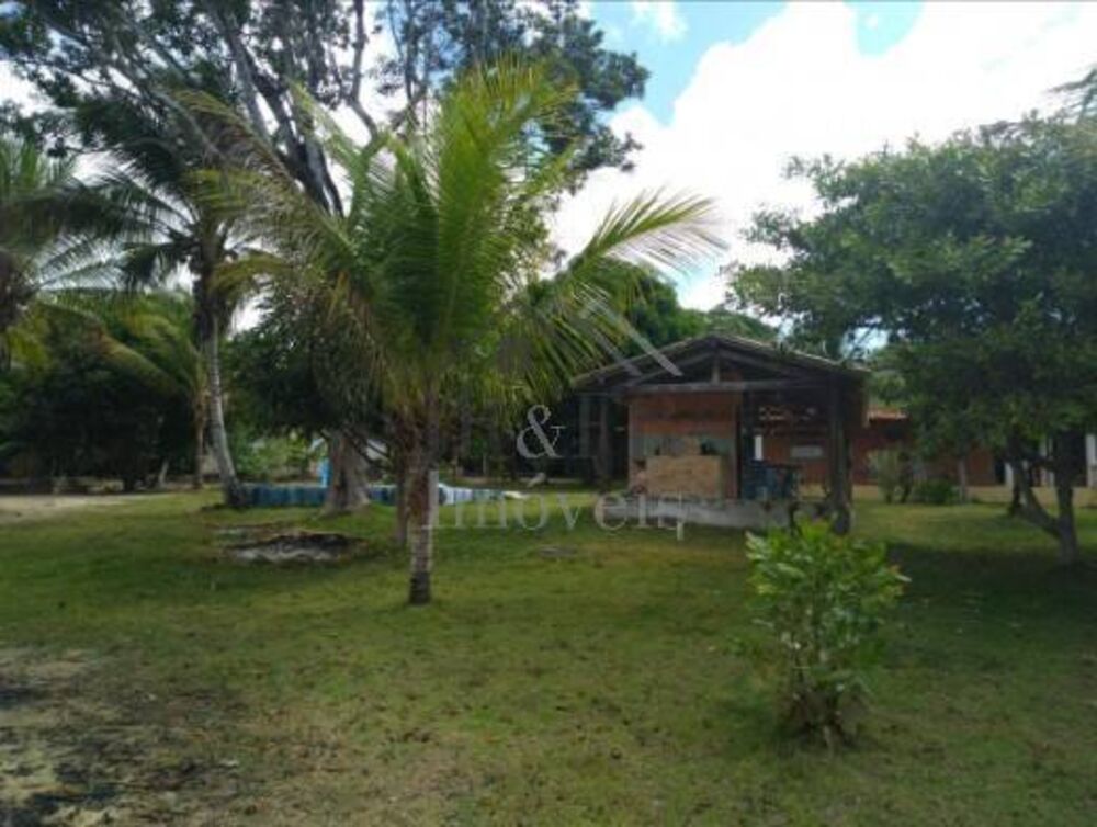 Sítio, 3 quartos, 2 hectares - Foto 6