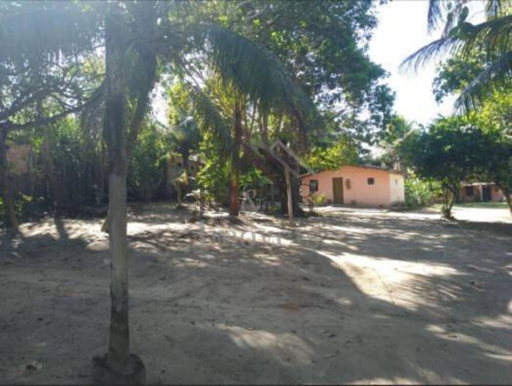 Sítio, 3 quartos, 2 hectares - Foto 3