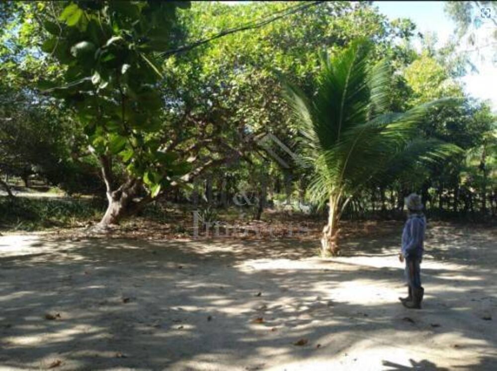 Sítio, 3 quartos, 2 hectares - Foto 9