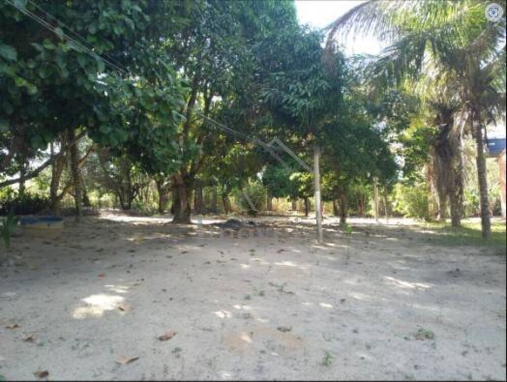 Sítio, 3 quartos, 2 hectares - Foto 10