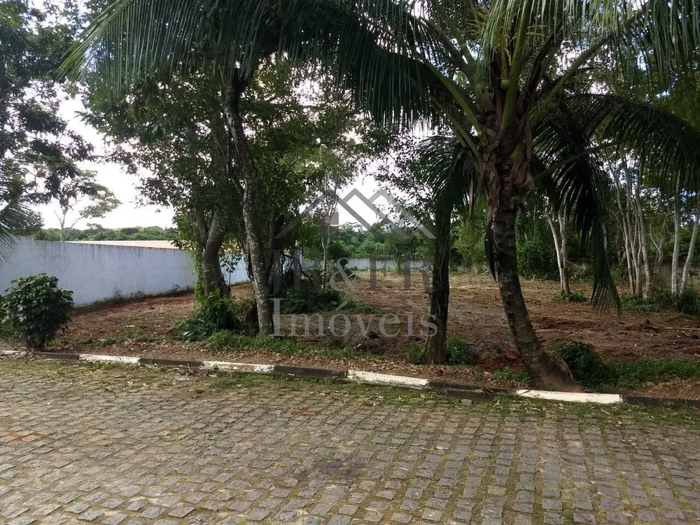 Terreno, 4500 m² - Foto 5