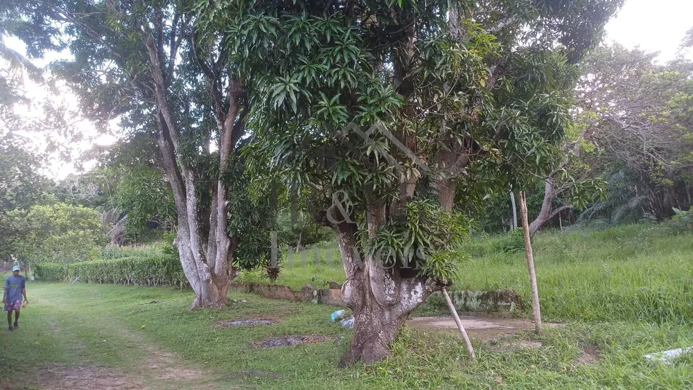 Sítio, 4 quartos, 10000 m² - Foto 8