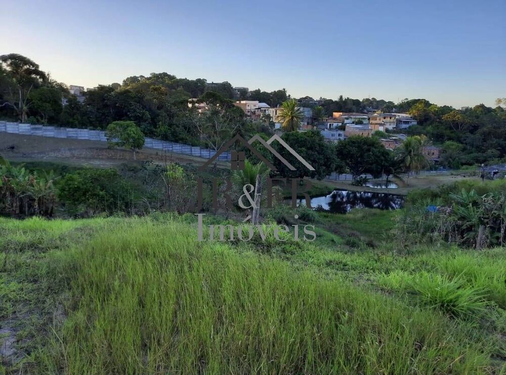 Terreno, 2 hectares - Foto 3