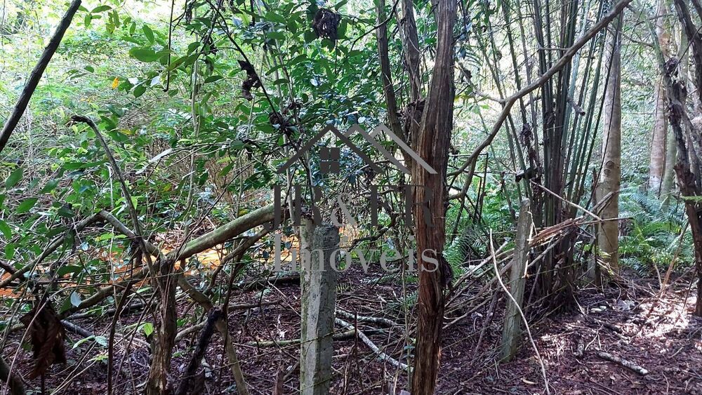 Chácara, 4 quartos, 8 hectares - Foto 7