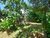Terreno, 8220 m² - Foto 2