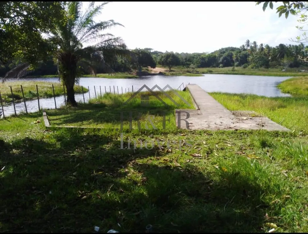 Casa, 5 quartos, 230 m² - Foto 12