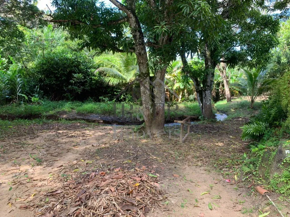 Sítio, 3 quartos, 3 hectares - Foto 18