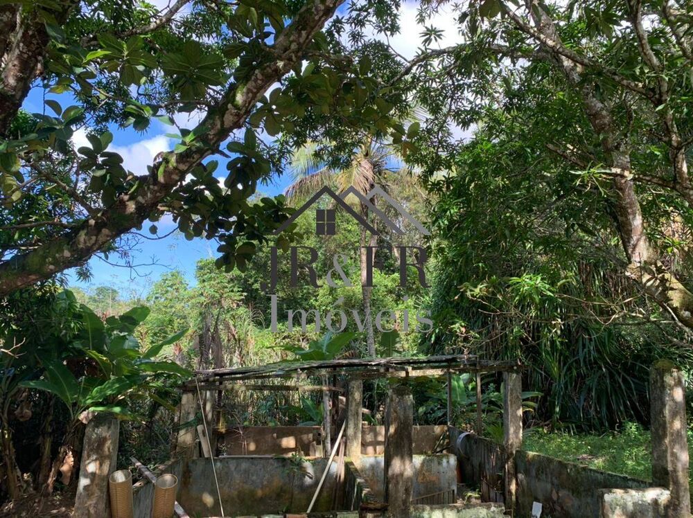 Sítio, 3 quartos, 3 hectares - Foto 4